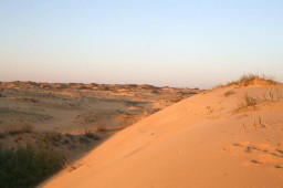 Арчединско-донские пески Волгоградской области